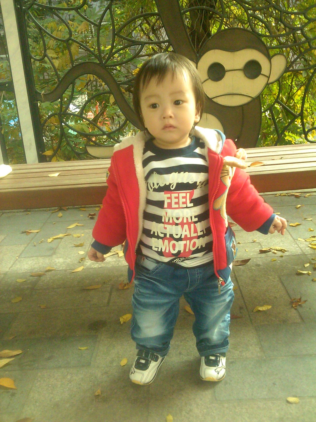 20111105_125213.jpg
