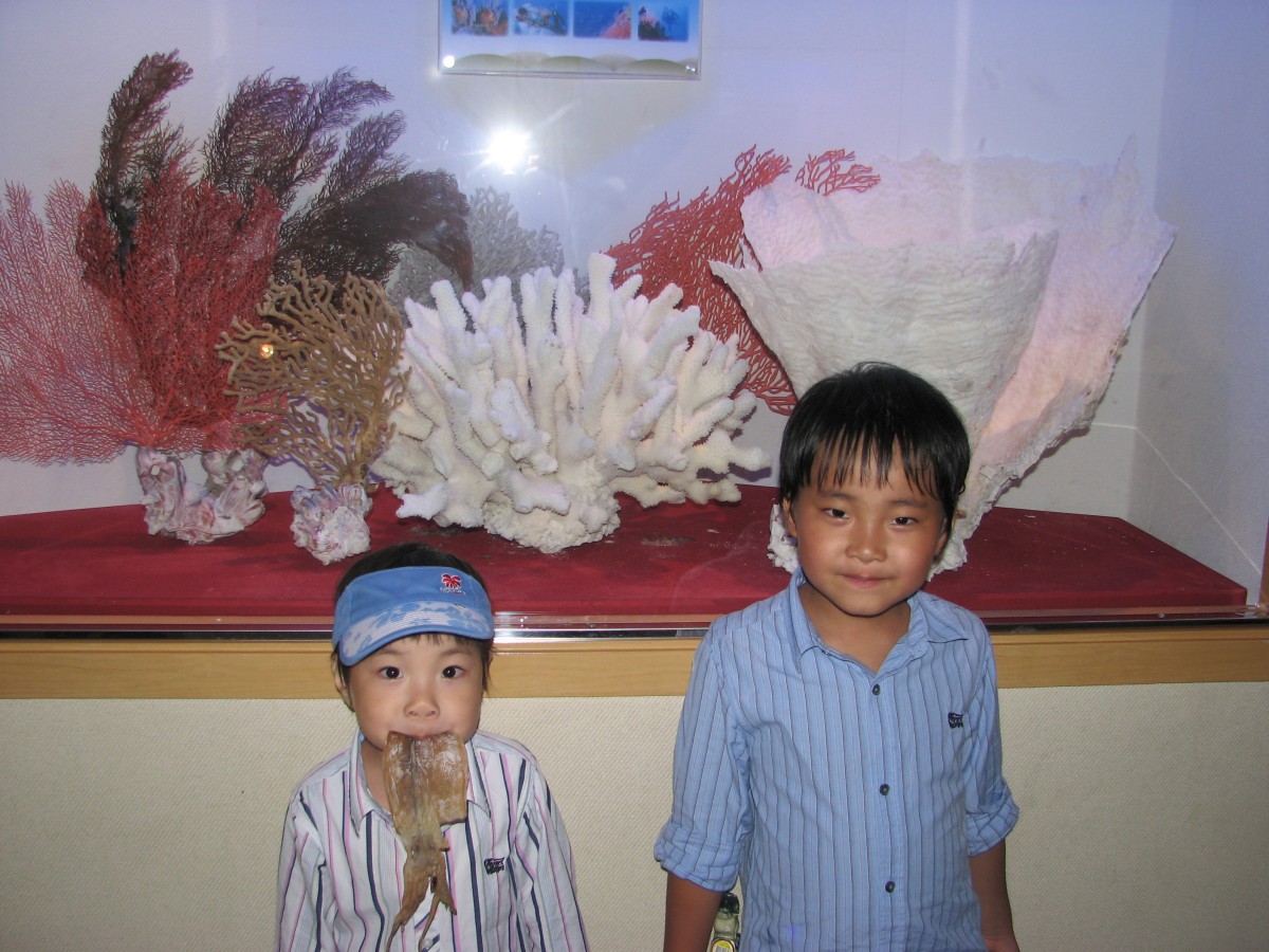 b0a1c1b72_646.jpg