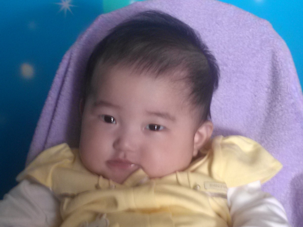 bbe7c1f8_0111.jpg