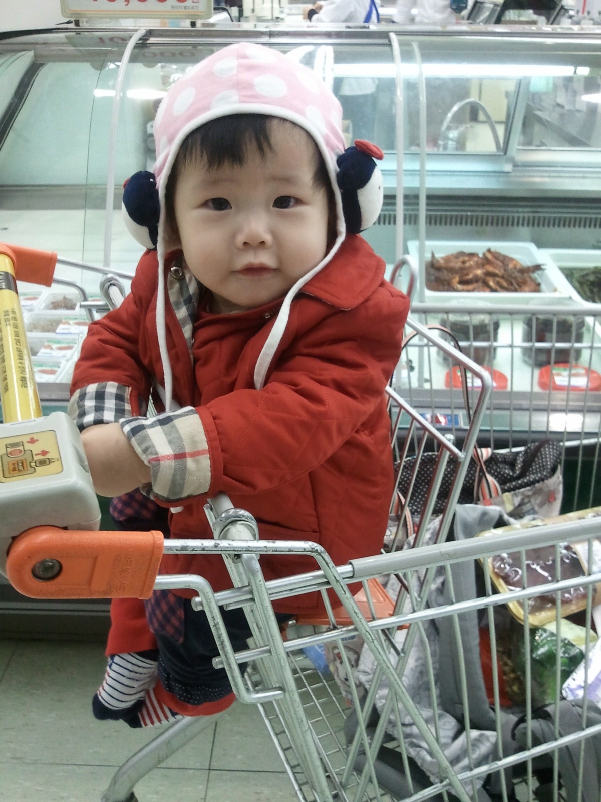 bbe7c1f8_043.jpg