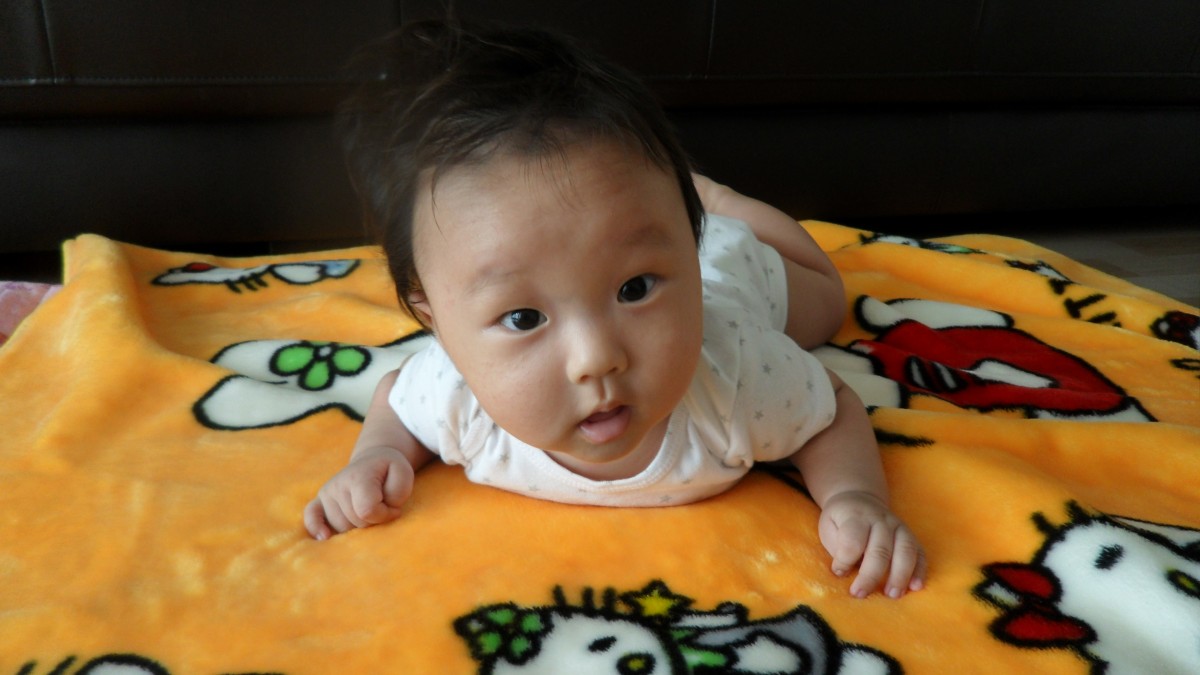 sam_05672.JPG