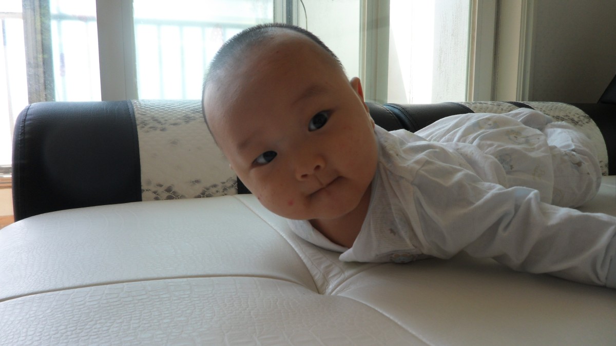 sam_0606.JPG