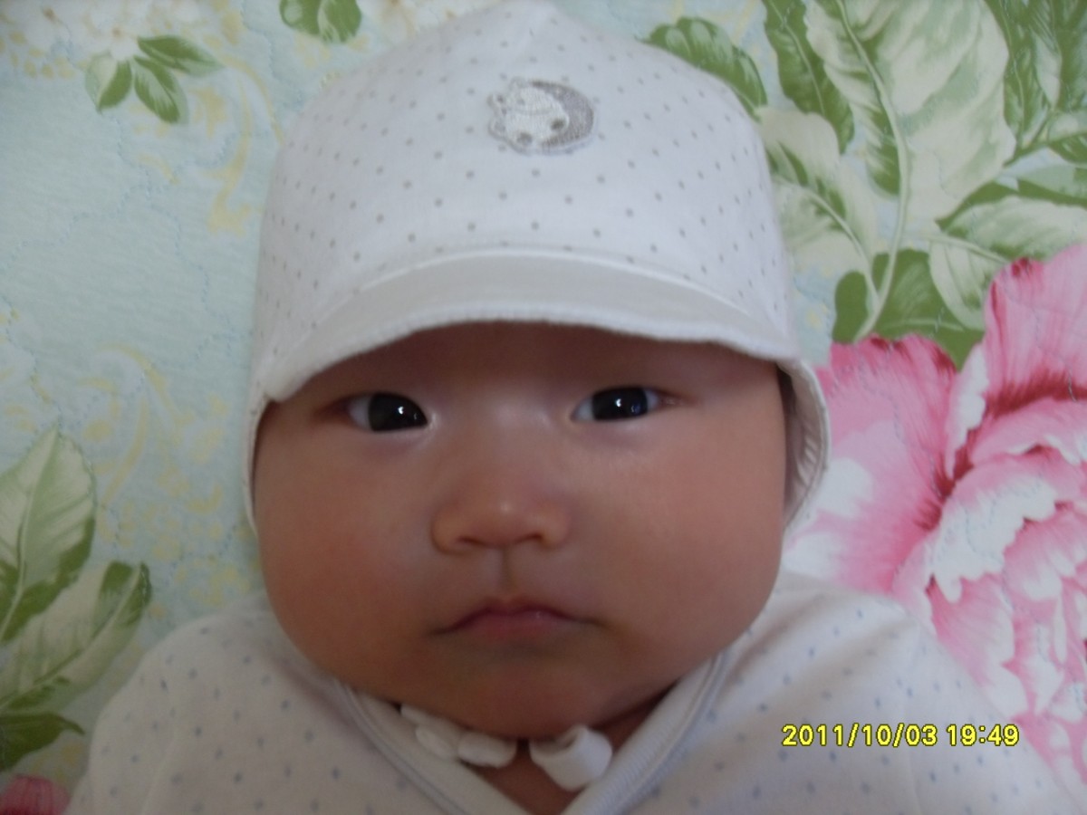 sdc12513.JPG